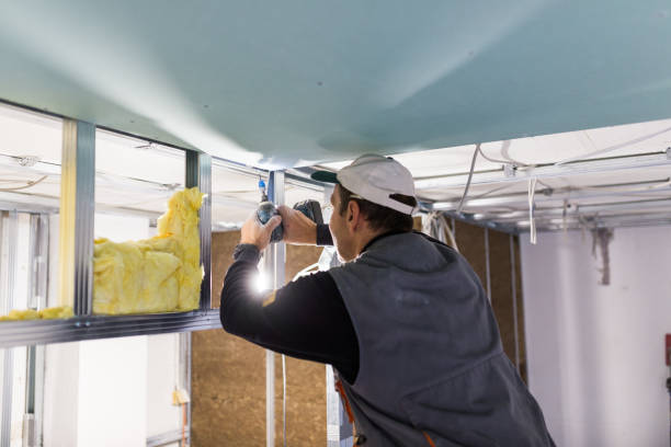 Best Cellulose Insulation in Beverly Hills, TX
